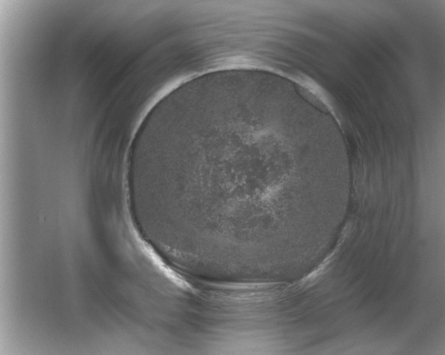 X0000065981142200603031148