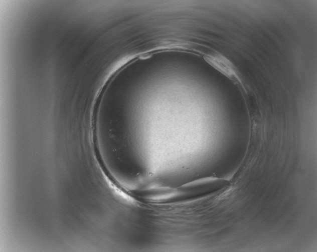 X0000065981143200603031148