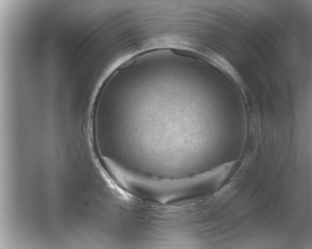 X0000065981144200603031148