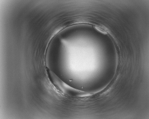 X0000065981145200603031148