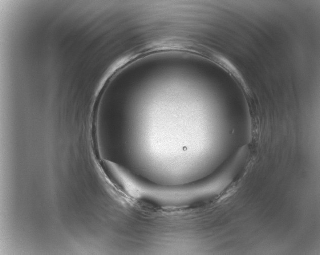 X0000065981146200603031148