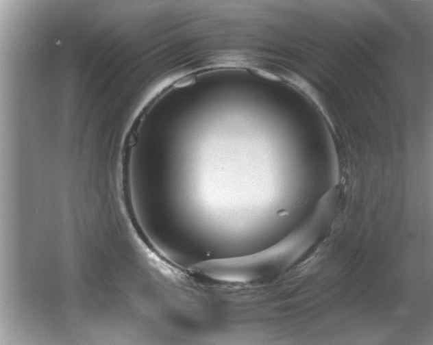 X0000065981147200603031148