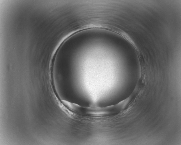 X0000065981148200603031148