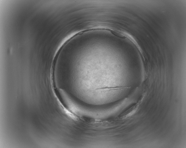 X0000065981149200603031148