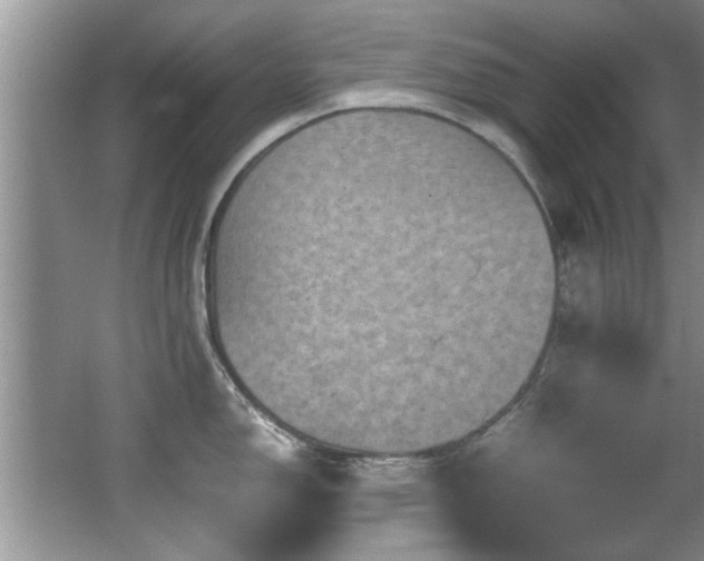 X0000065981150200603031148