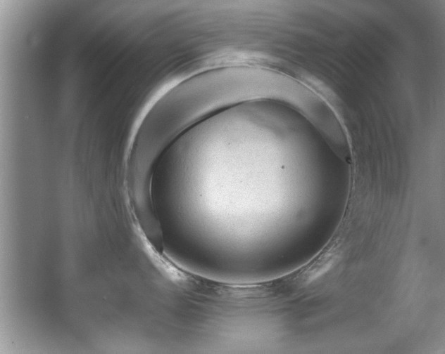 X0000065981152200603031148