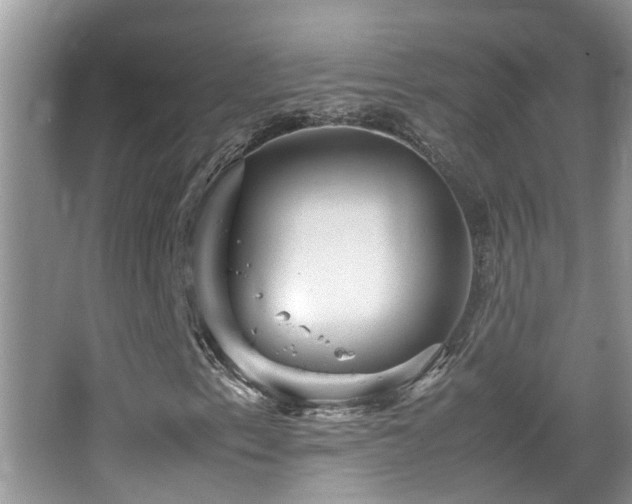 X0000065981153200603031147