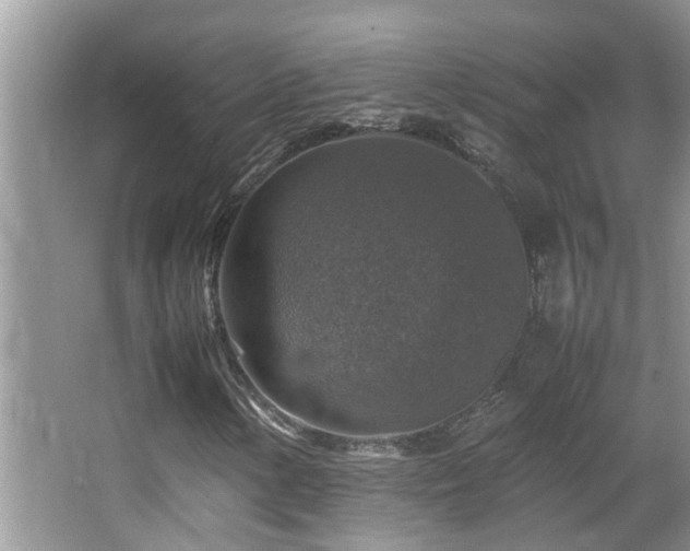 X0000065981154200603031147