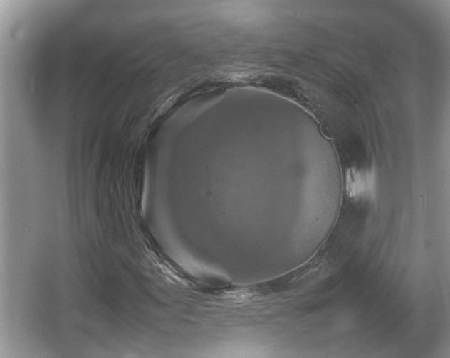 X0000065981155200603031147