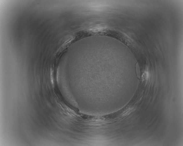 X0000065981156200603031147