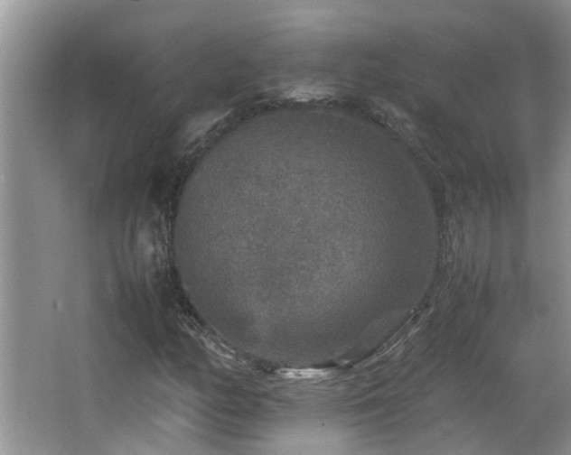 X0000065981158200603031147