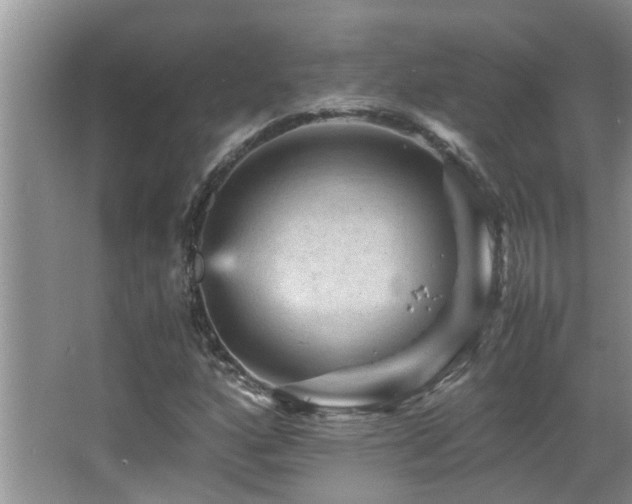 X0000065981160200603031147