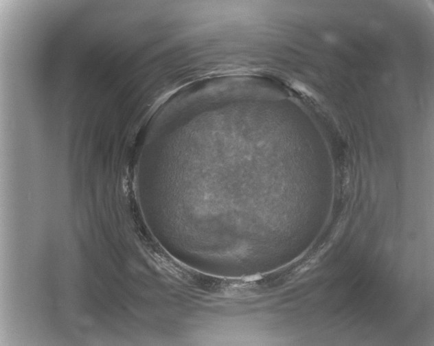 X0000065981161200603031147