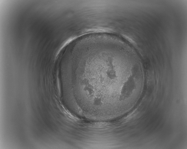 X0000065981163200603031147