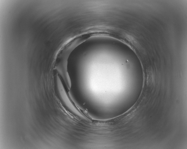 X0000065981164200603031147