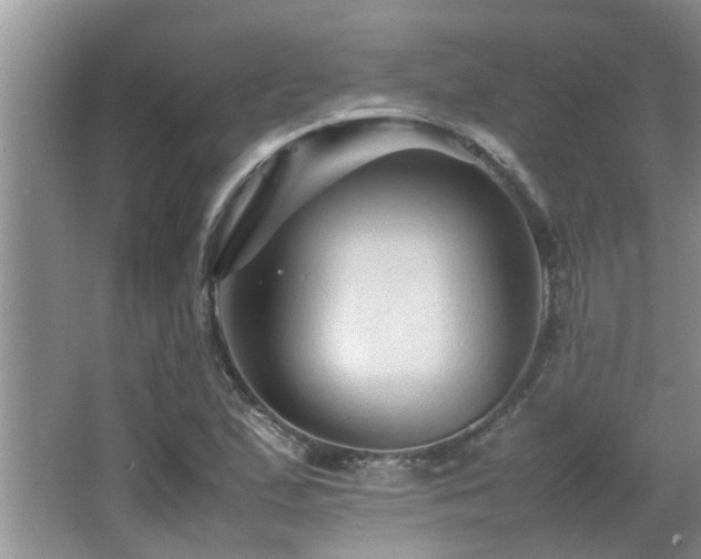 X0000065981167200603031147