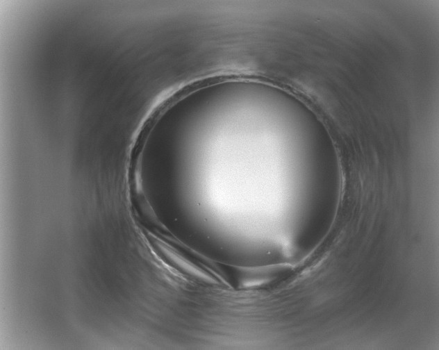 X0000065981168200603031147