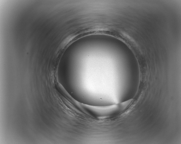 X0000065981169200603031147