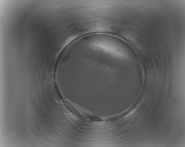 X0000065981170200603031147