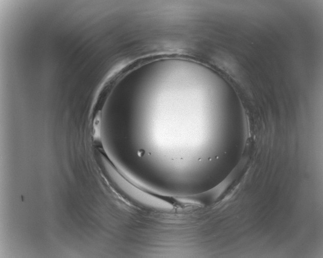 X0000065981172200603031147