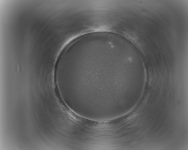 X0000065981174200603031147