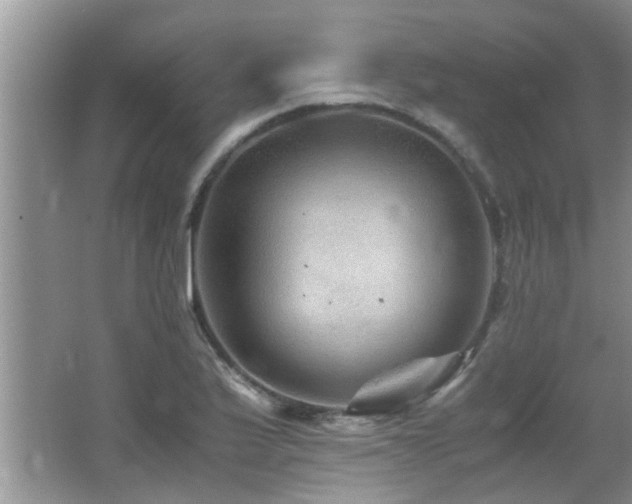 X0000065981175200603031147