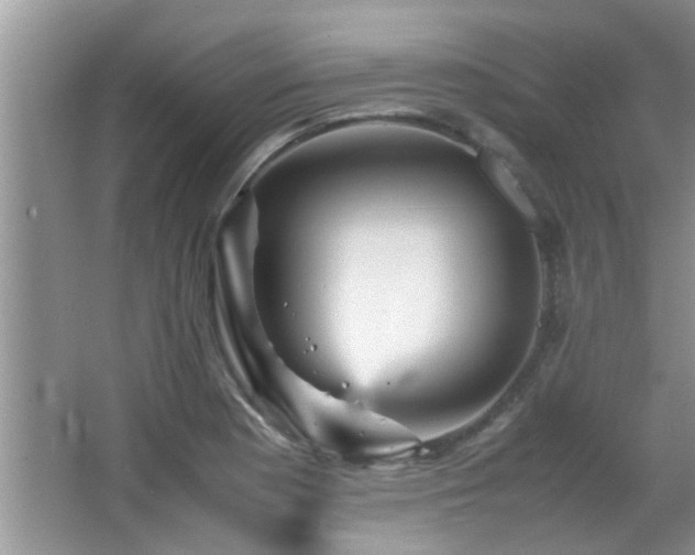 X0000065981177200603031147