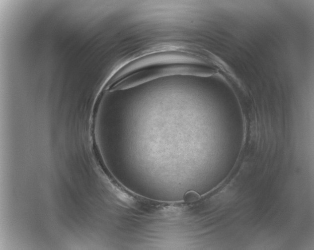 X0000065981178200603031147