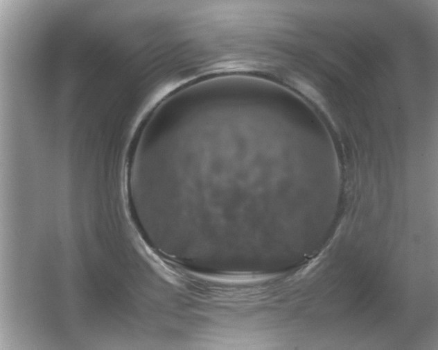 X0000065981179200603031147