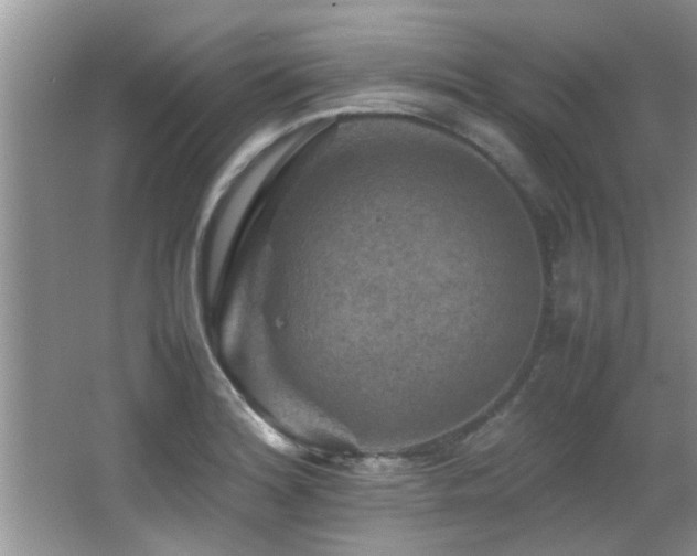 X0000065981180200603031147