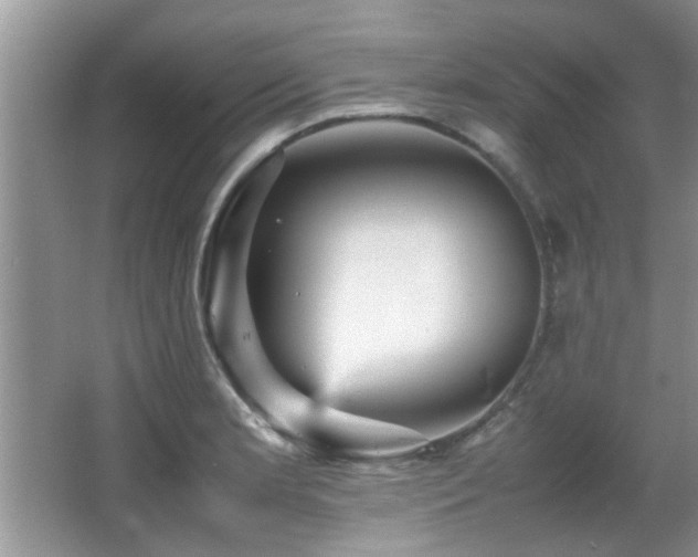 X0000065981181200603031147