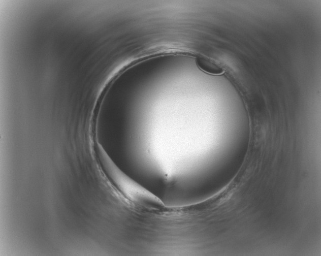 X0000065981182200603031147