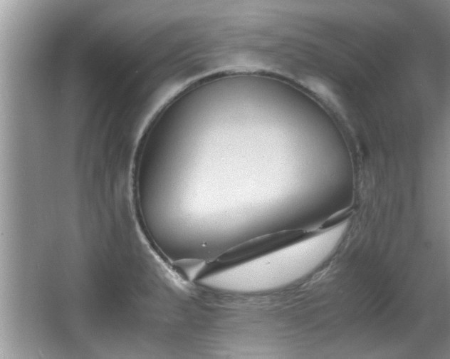 X0000065981183200603031147