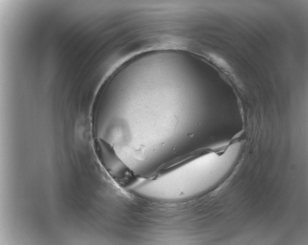 X0000065981184200603031147