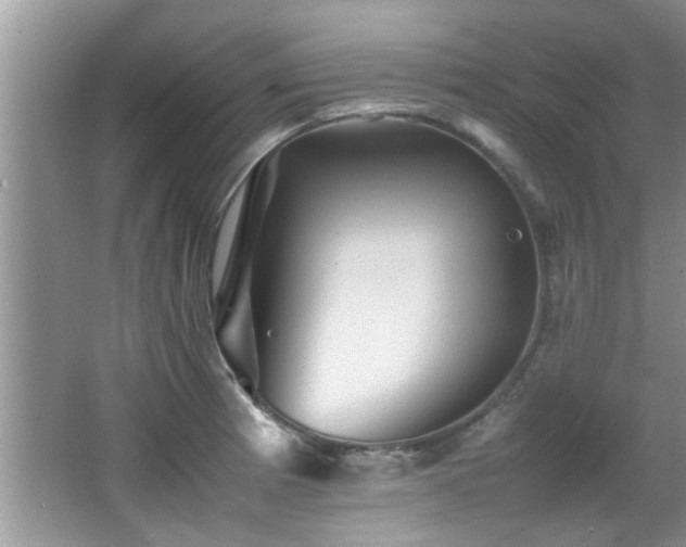 X0000065981185200603031147