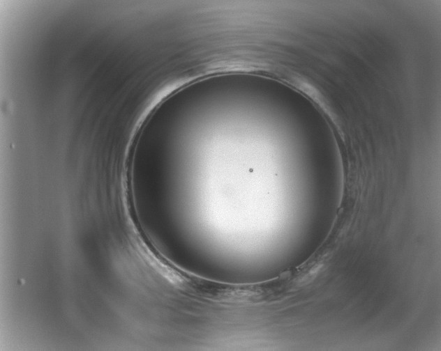 X0000065981187200603031147