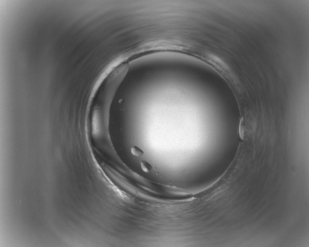 X0000065981188200603031147