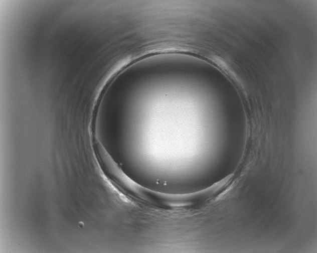 X0000065981189200603031147