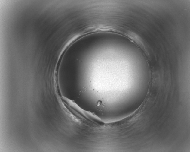 X0000065981190200603031146