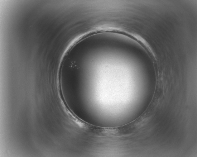 X0000065981191200603031146