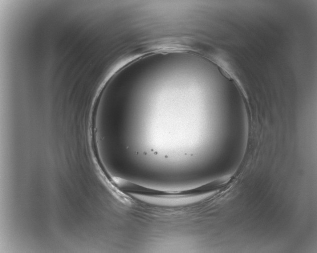 X0000065981195200603031146