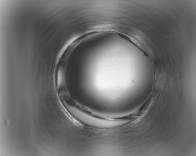 X0000065981196200603031146