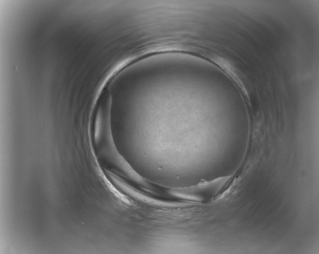 X0000065981197200603031146