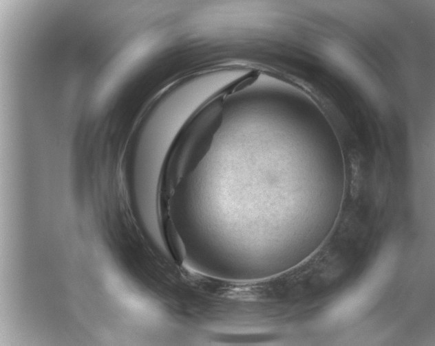 X0000065981198200603031146