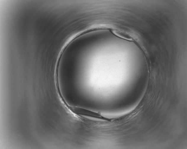 X0000065981199200603031146