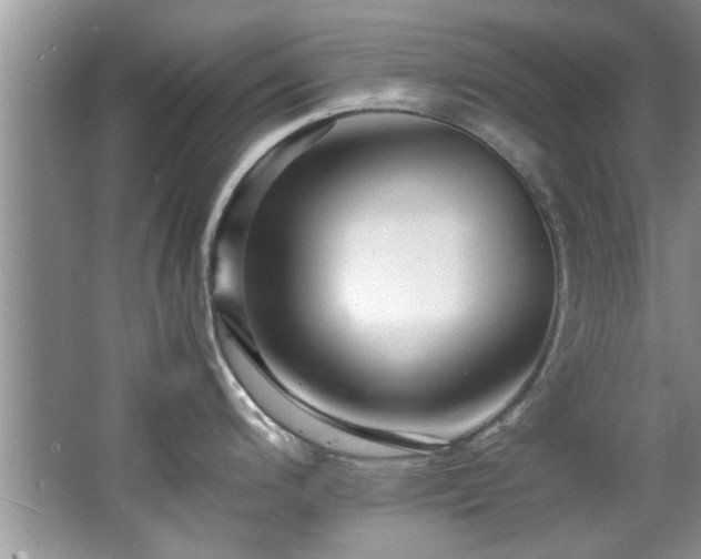 X0000065981200200603031146