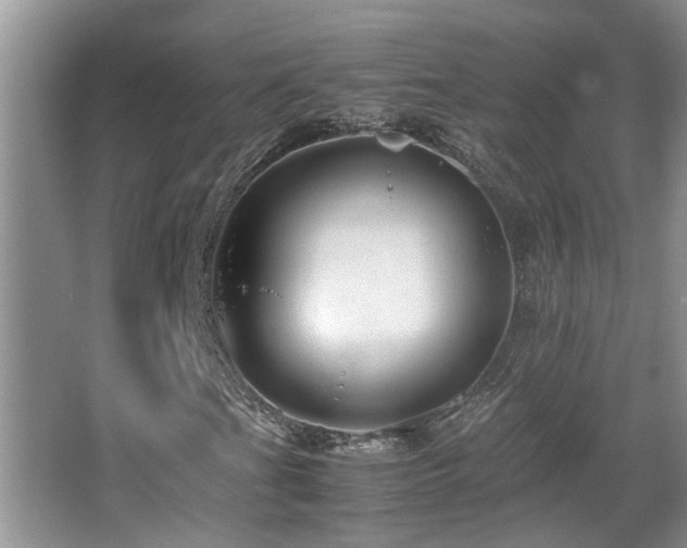 X0000065981201200603031146