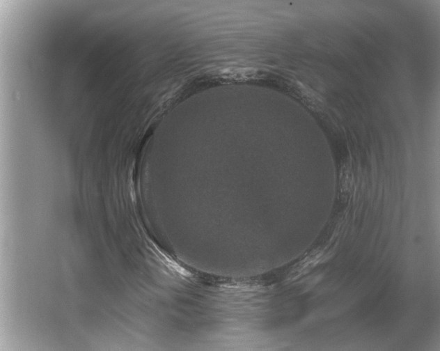 X0000065981202200603031146