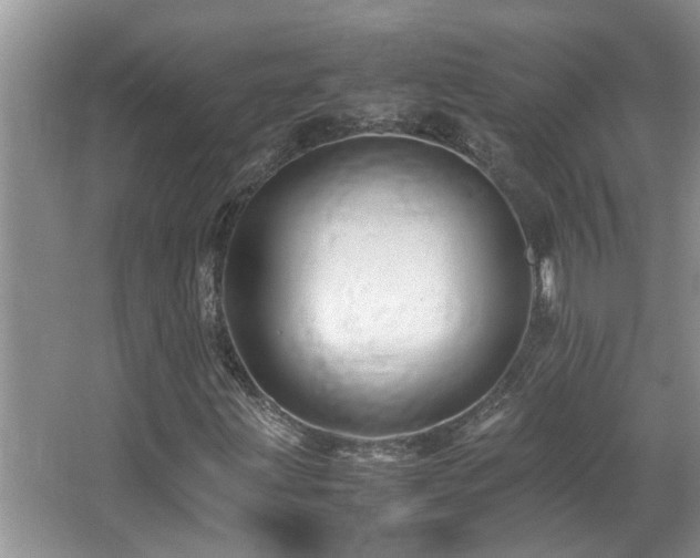 X0000065981203200603031146