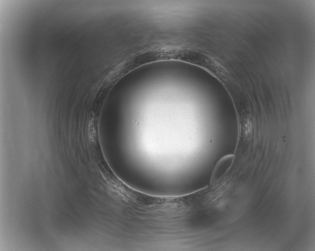 X0000065981204200603031146